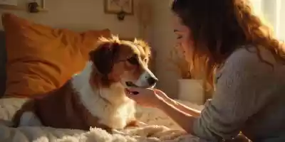 Tratamientos tópicos para la sarna en perros Medicamentos