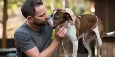 Perro sano y feliz después de un baño, sin garrapatas.