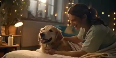 Remedios caseros para el bienestar de tu perro Remedios caseros