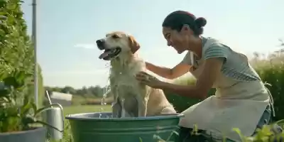 Importancia de la higiene en la salud canina Higiene